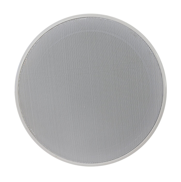 Coluna Tecto 100V 6,5" 20W
